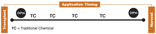 application timing